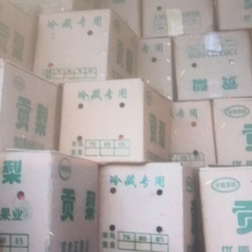 祁县酥梨