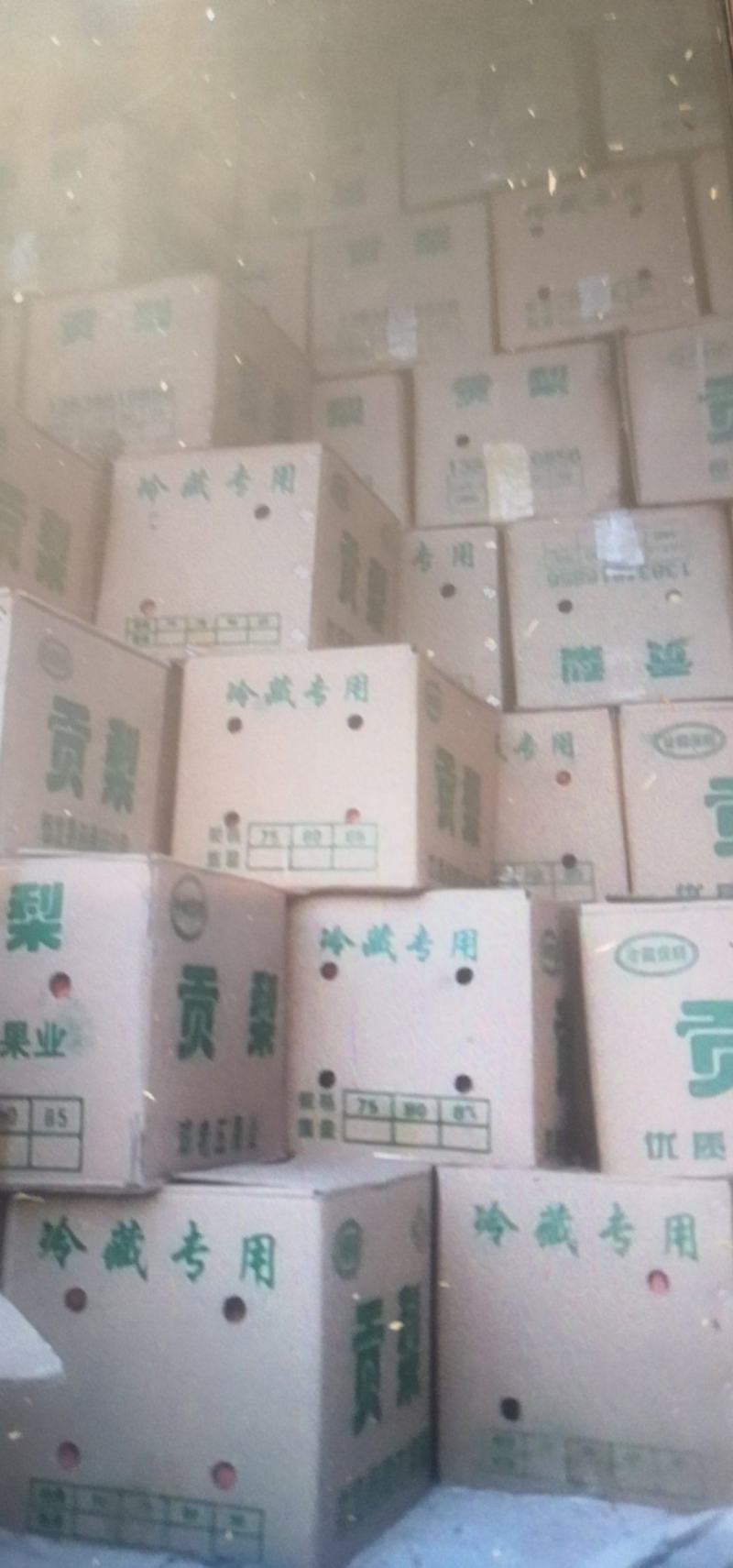 祁县酥梨
