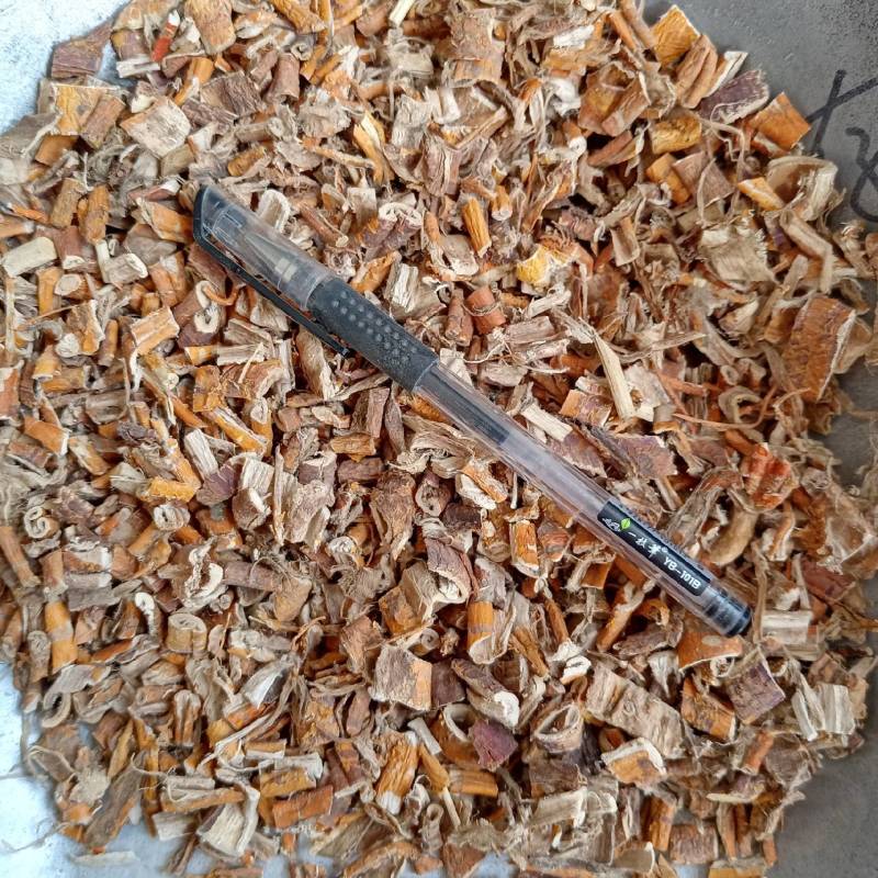 桑白皮桑皮实物实拍天然晒干量大优惠鲁赣药材批发