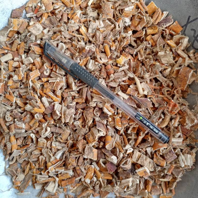桑白皮桑皮实物实拍天然晒干量大优惠鲁赣药材批发