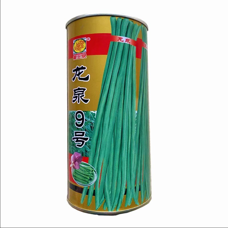 龙泉9号豆角种子高产小叶豇豆种子特长超嫩架豆王大棚大田