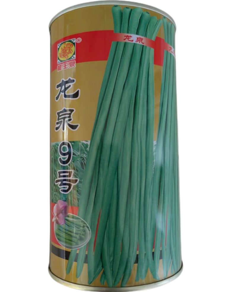 龙泉9号豆角种子高产小叶豇豆种子特长超嫩架豆王大棚大田