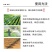 【土壤活化剂】松土精盐碱地疏松改良剂板结保水保微生物菌