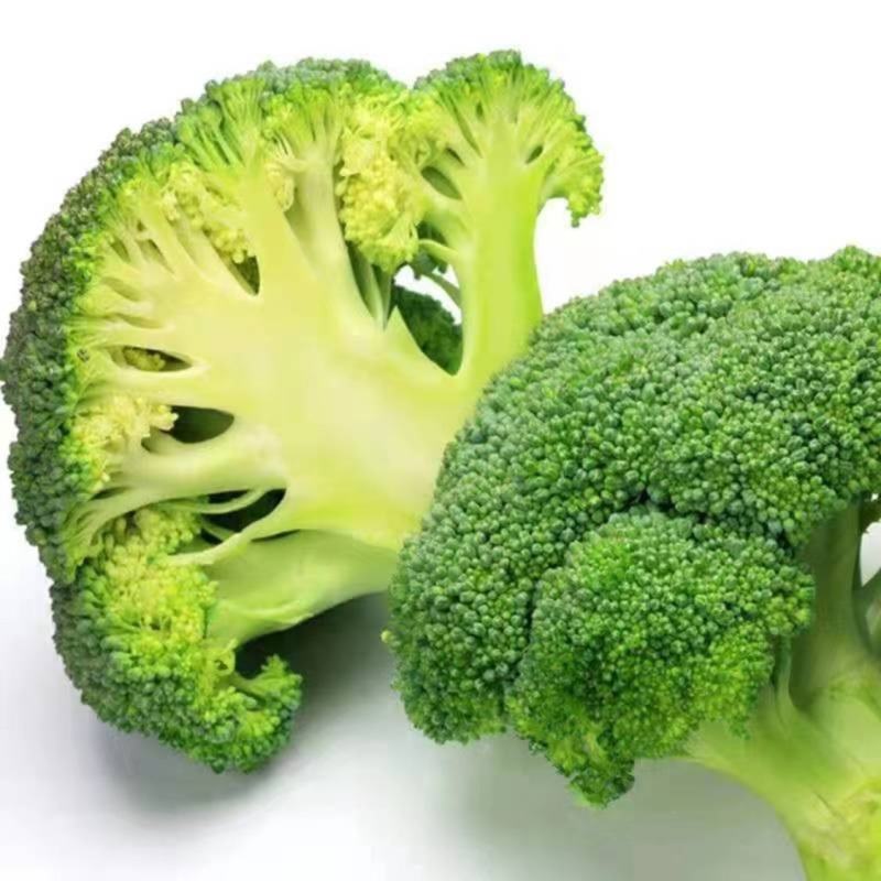 咸碱地大棚种植西蓝花西兰花青梗菜绿花菜大量