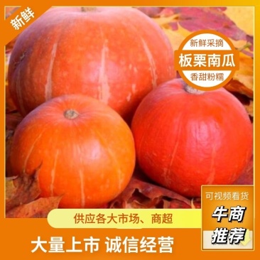 『精选』板栗黄金南瓜红皮板栗南瓜批发香甜粉糯货源充足