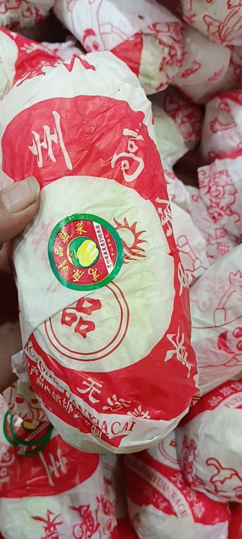 娃娃菜10两以上以上