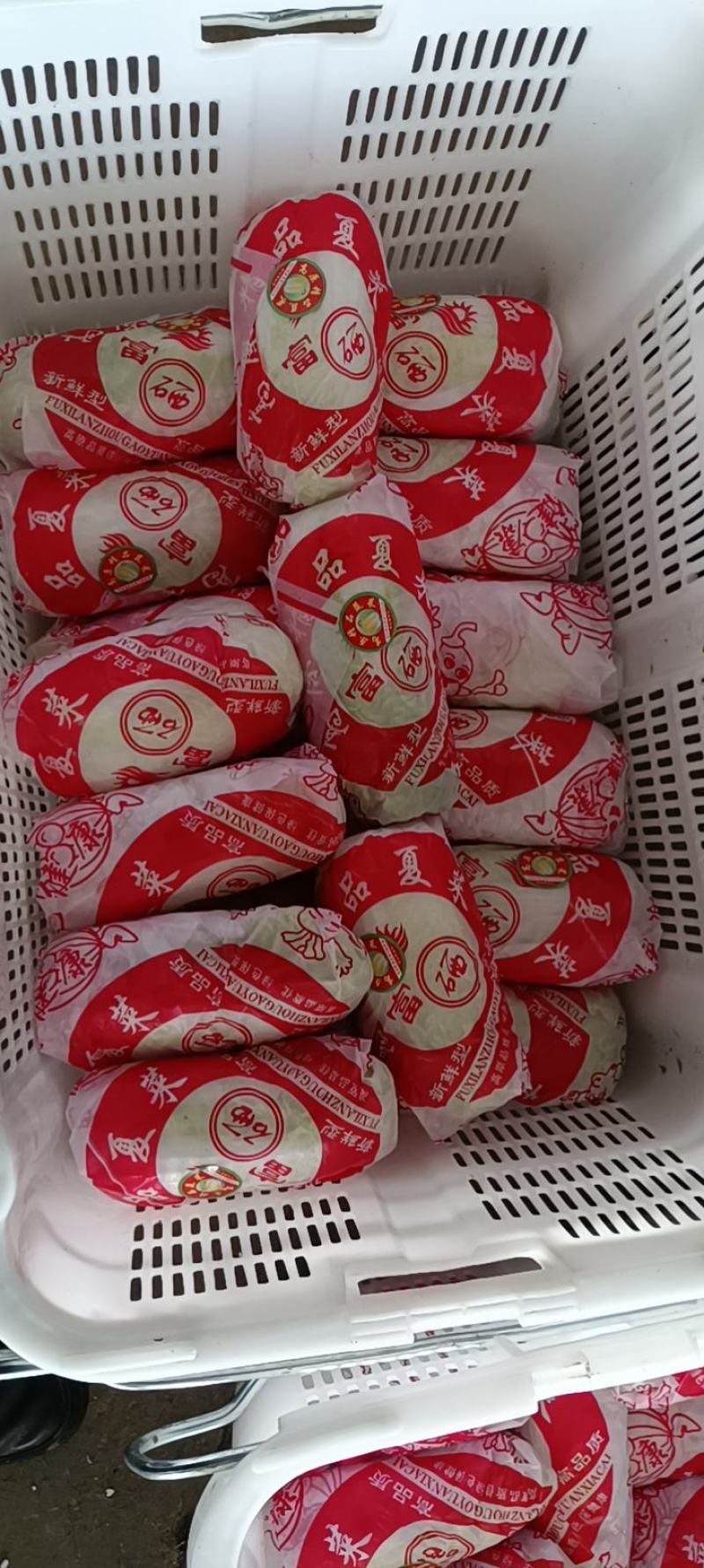 娃娃菜10两以上以上