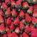 山东省沂南县大棚久香联盟甜查理草莓，产地直发货源充足！