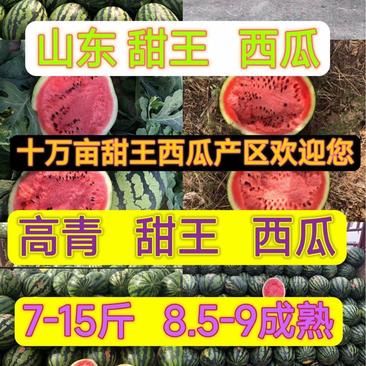 山东淄博高青甜王西瓜7-15斤9成熟产地发货
