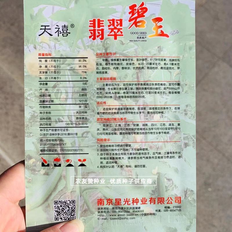 短棒油亮香丝瓜种子白籽丝瓜种子翡翠碧玉丝瓜种子抗病早熟