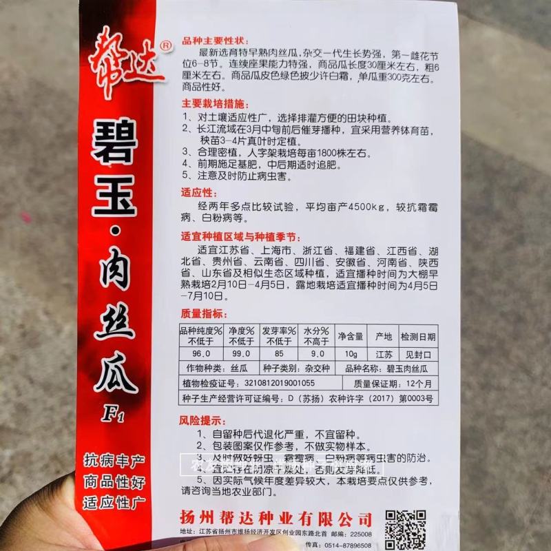 特早熟肉丝瓜种子杂交一代品种商品性好连续结瓜力强