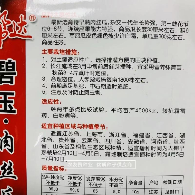 特早熟肉丝瓜种子杂交一代品种商品性好连续结瓜力强