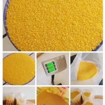 黄金小米