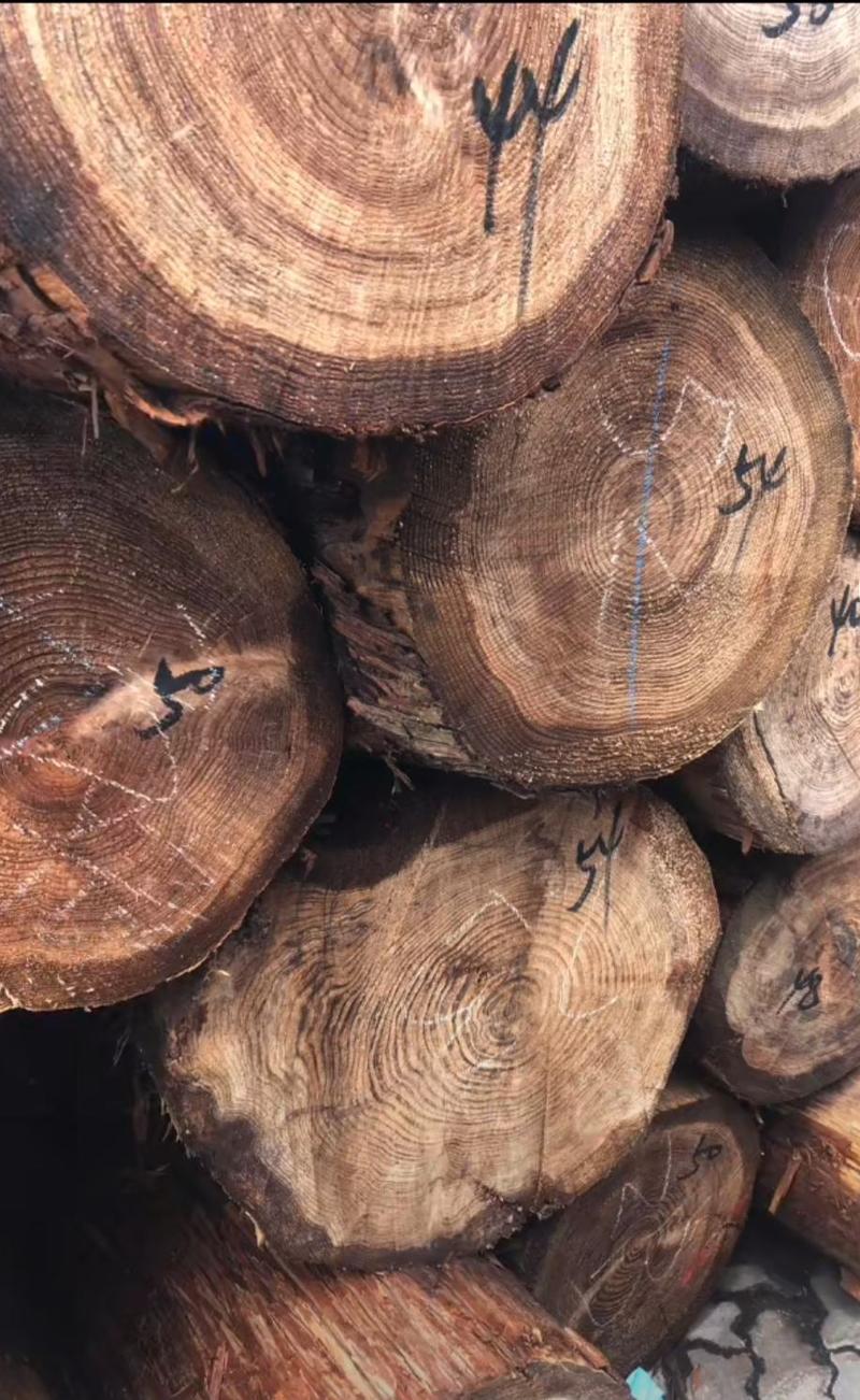 香杉寿材原木，大板，仿古建筑杉木，木方，