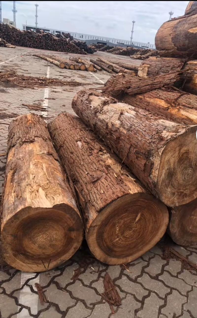 香杉寿材原木，大板，仿古建筑杉木，木方，