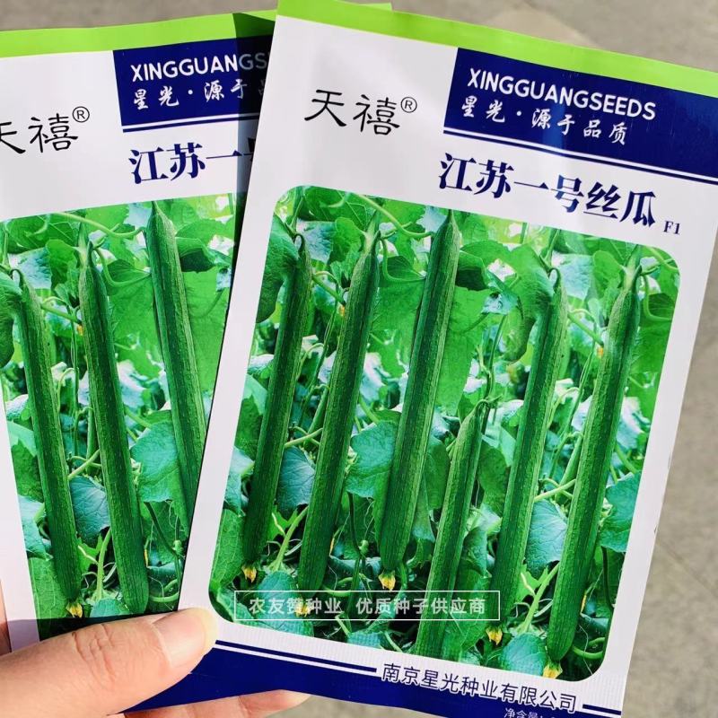 一号丝瓜种子特长丝瓜种子早熟杂交品种基本每节都有雌花