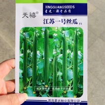 一号丝瓜种子特长丝瓜种子早熟杂交品种基本每节都有雌花
