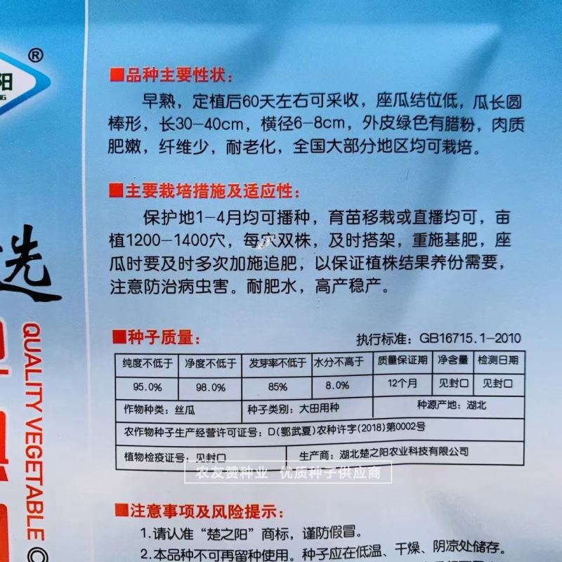 早熟肉丝瓜种子外皮绿色有蜡粉大田用种耐老化丝瓜种籽