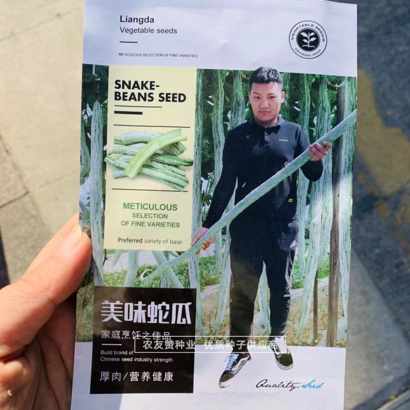 美味蛇瓜种子特长蛇豆种子抗病抗虫性强特长丝瓜种子