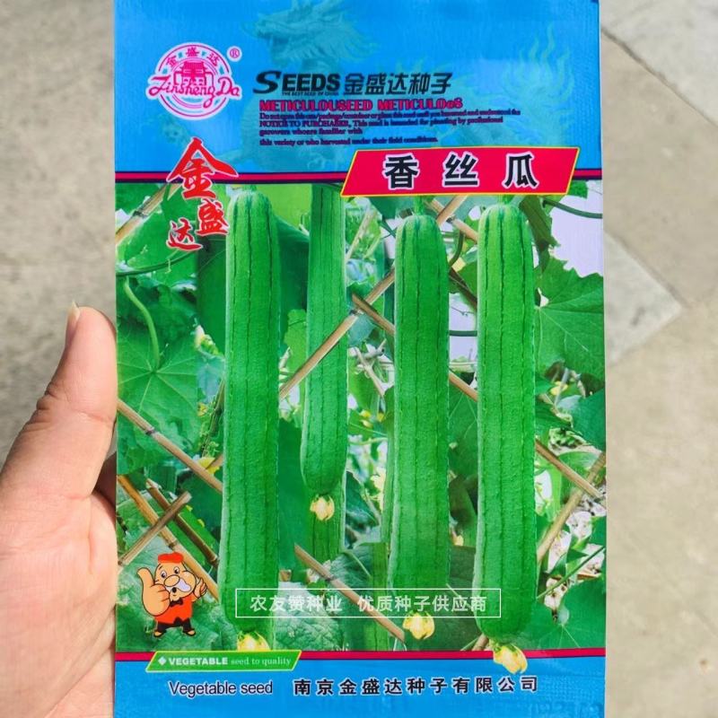金盛达香丝瓜种子盛油20丝瓜种子早熟味香适应性好