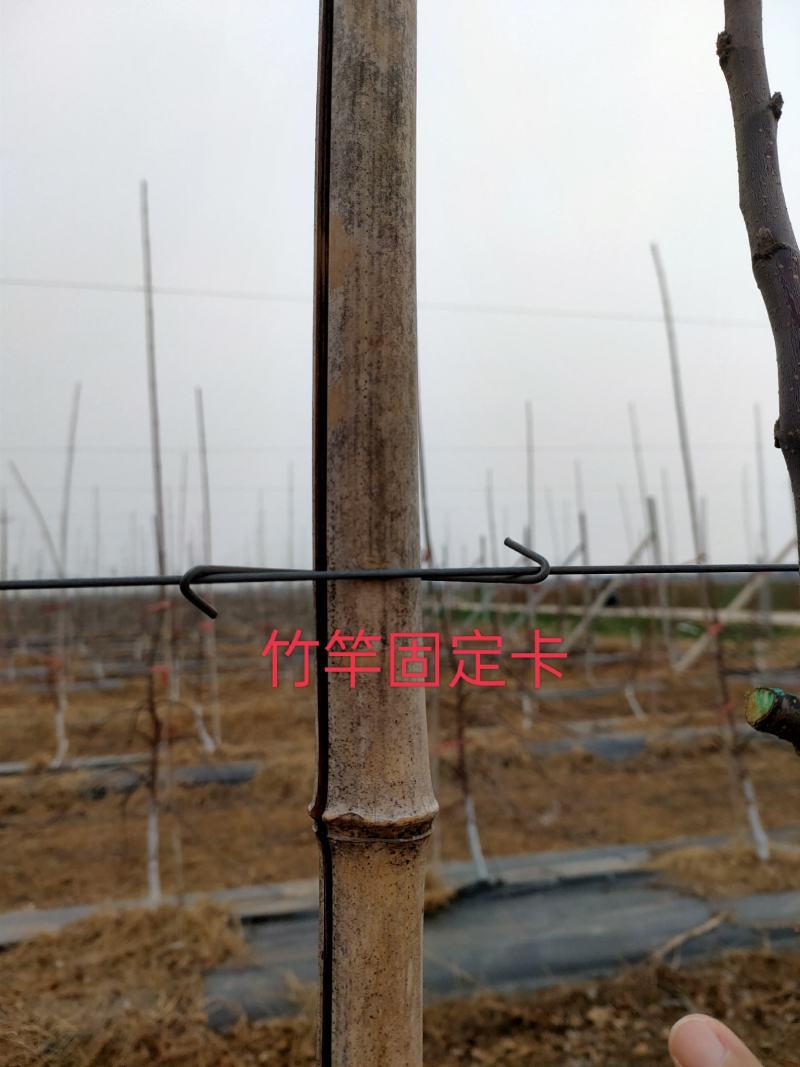 竹竿固定卡玻纤杆固定卡新建果园必备固定卡