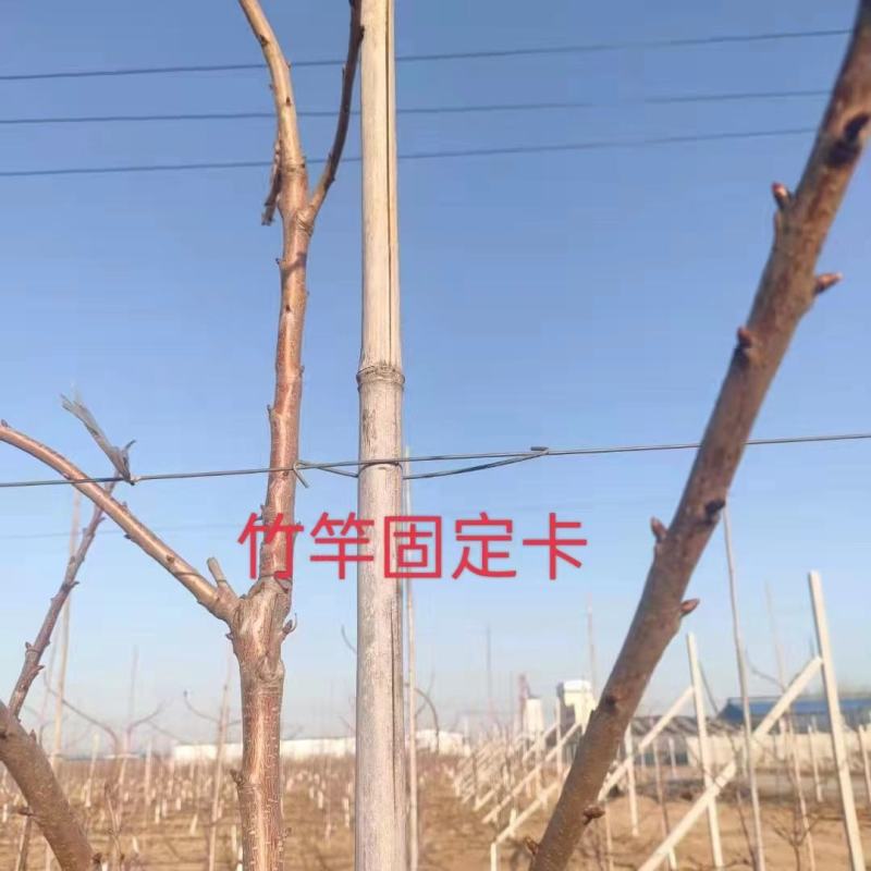 竹竿固定卡玻纤杆固定卡新建果园必备固定卡