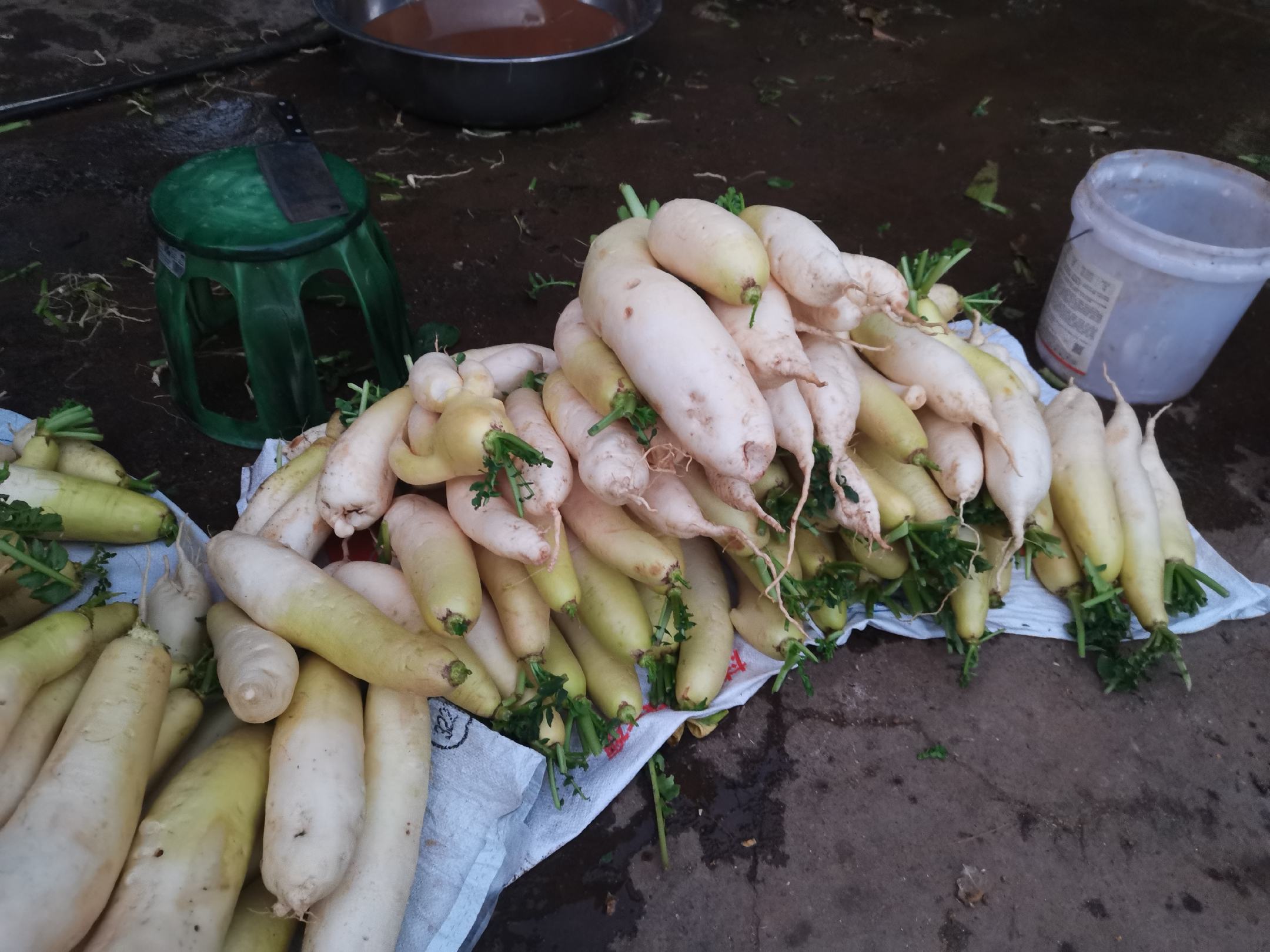 生活化场景摄影:现代厨房操作台俯拍。画面突出‘识别—判断—处置’逻辑链:烧心萝卜切面特写(褐变边界清晰、无菌丝/黏液)、健康萝卜参照物、专业工具组合(非治疗性,仅作科学验证用途),传递‘理性认知、合理利用’理念 家庭厨房场景:厨师正在处理白萝卜——左侧砧板上为刚切开的烧心萝卜(中心褐斑清晰可见),右侧为健康萝卜;手边摆放碘伏棉签(标注‘勿用消毒剂处理’)、食品级pH试纸(显示正常pH 5.8)及冷藏温度计(显示2℃)