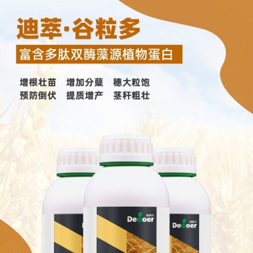 迪萃-谷粒多增根壮苗增加分蘖穗大粒饱小麦玉米增产专
