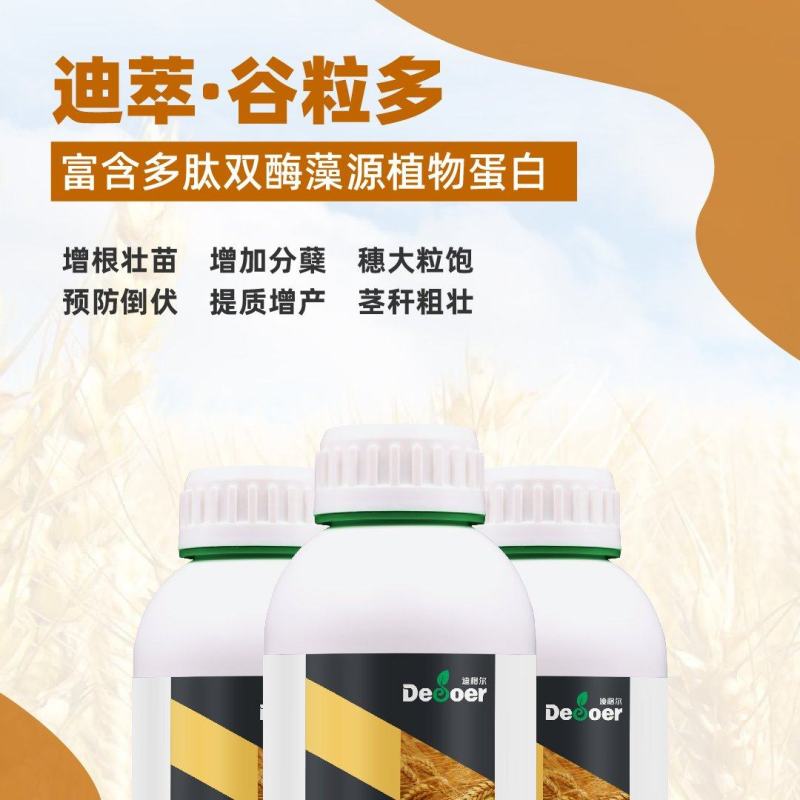 迪萃-谷粒多增根壮苗增加分蘖穗大粒饱小麦玉米增产专