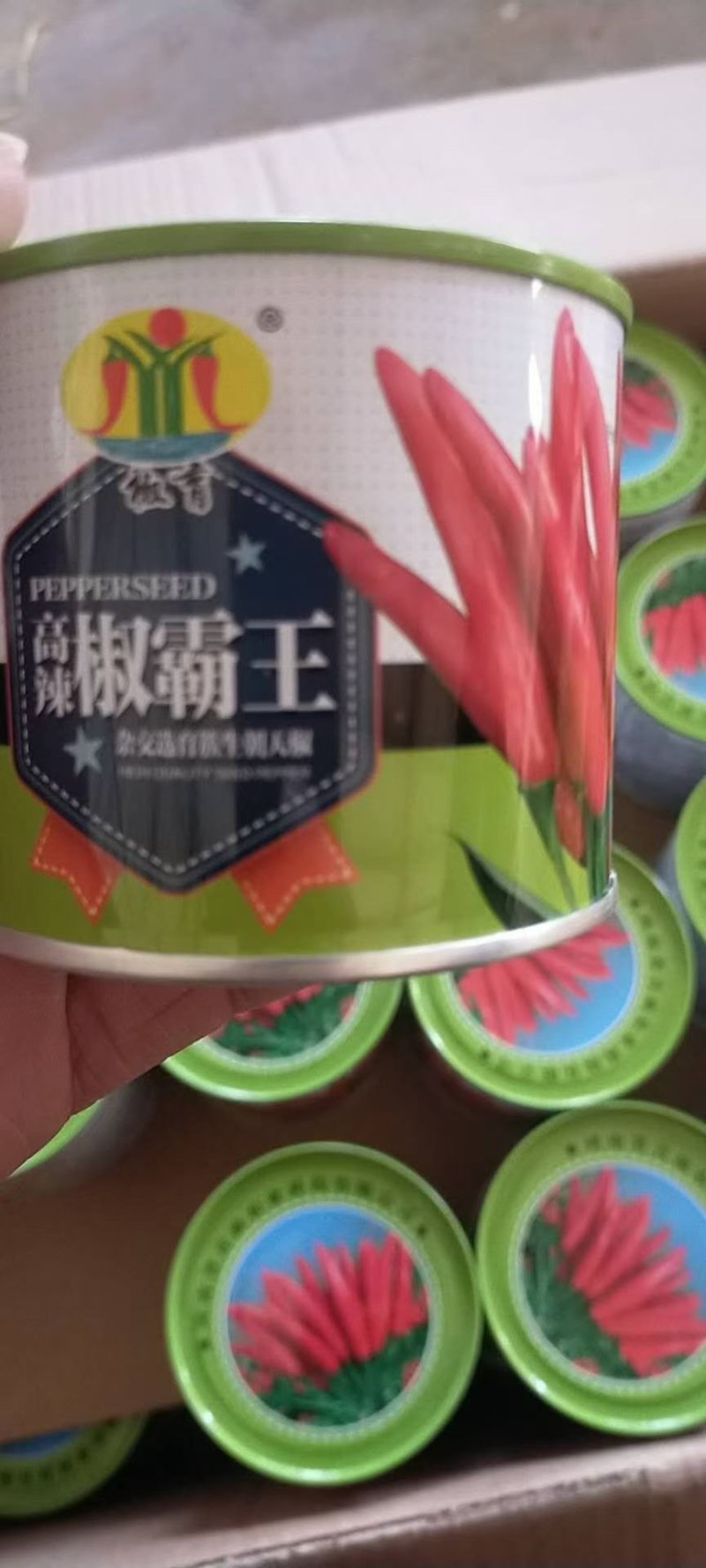 高端辣椒苗，朝天椒，螺丝椒线椒牛角椒，艳红小米椒，薄皮