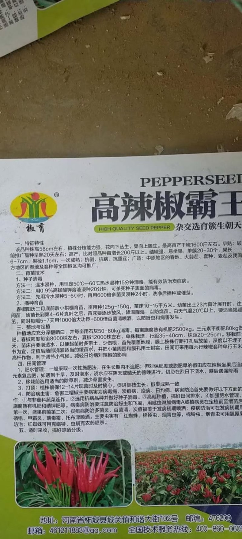 高端辣椒苗，朝天椒，螺丝椒线椒牛角椒，艳红小米椒，薄皮