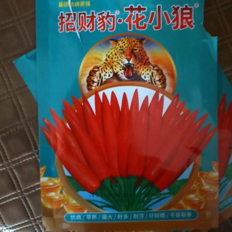 高端辣椒苗，朝天椒，螺丝椒线椒牛角椒，艳红小米椒，薄皮