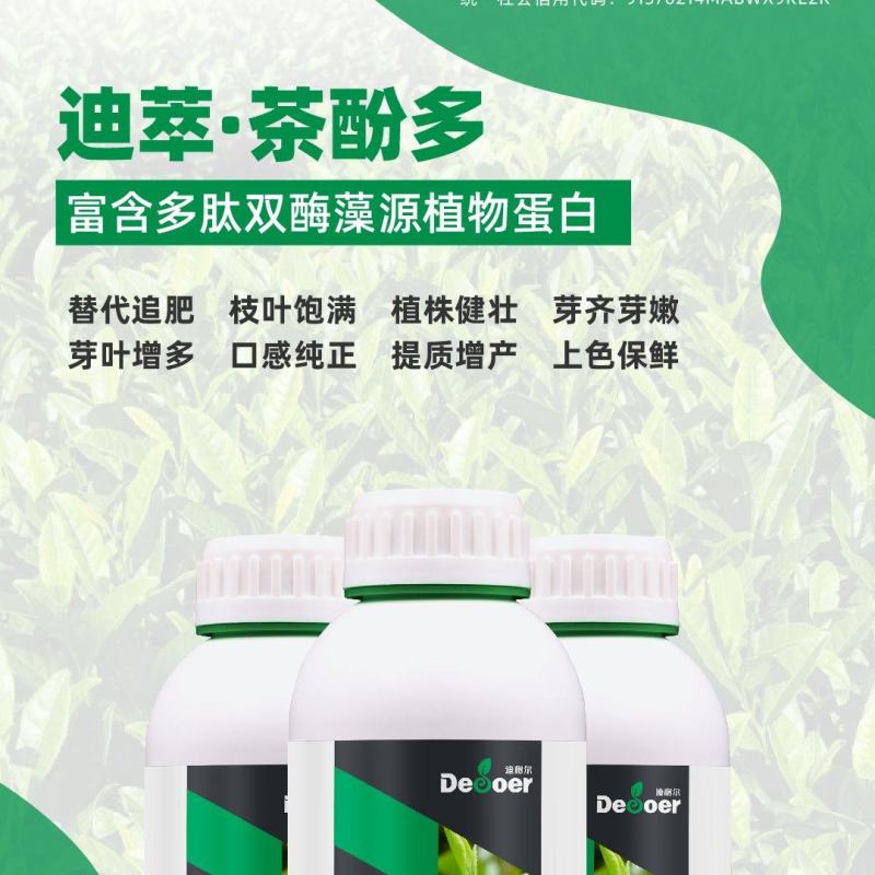 迪萃-茶多酚茶芽增多芽多芽嫩提高茶多酚的含量肥料厂家