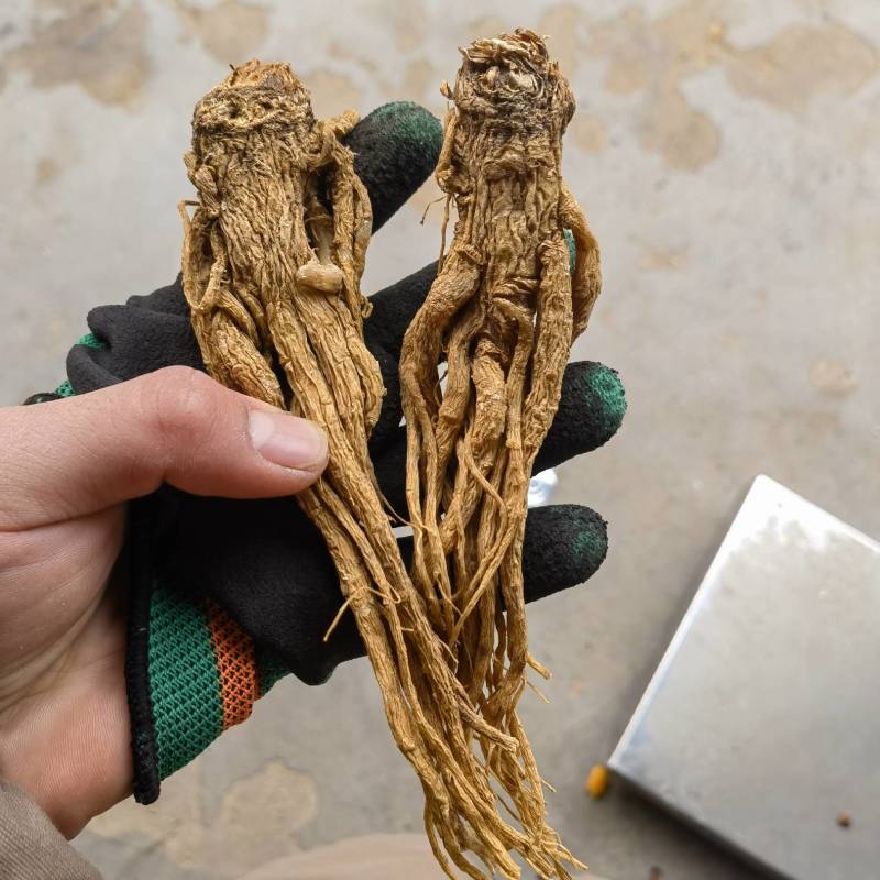 柠檬片新货关书药业批发中药材花果茶1000g起批