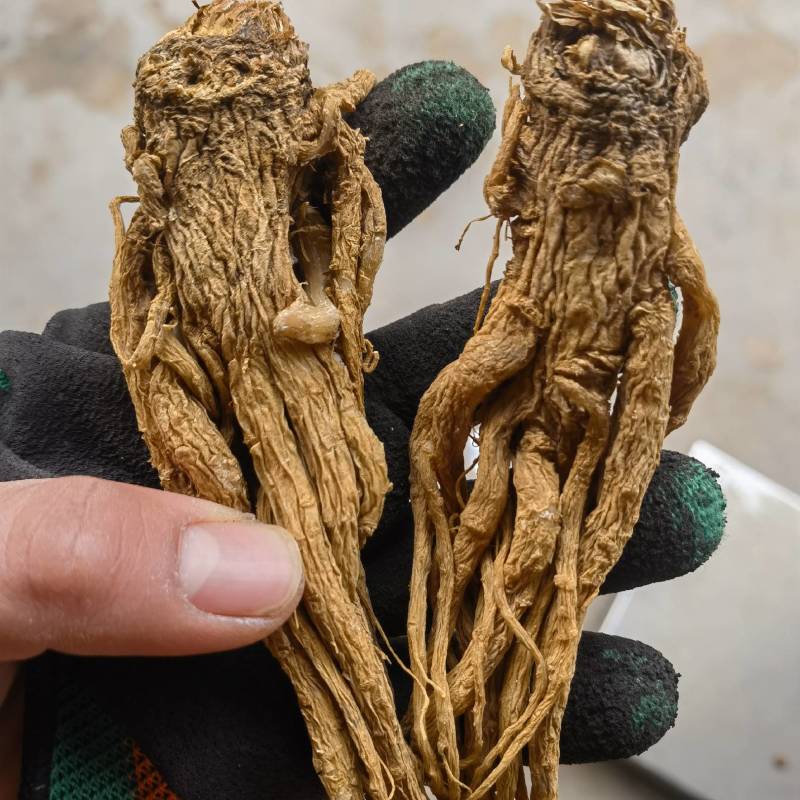 柠檬片新货关书药业批发中药材花果茶1000g起批