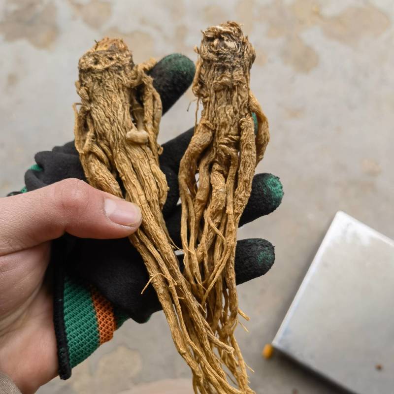 柠檬片新货关书药业批发中药材花果茶1000g起批