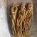 柠檬片新货关书药业批发中药材花果茶1000g起批
