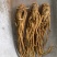 柠檬片新货关书药业批发中药材花果茶1000g起批