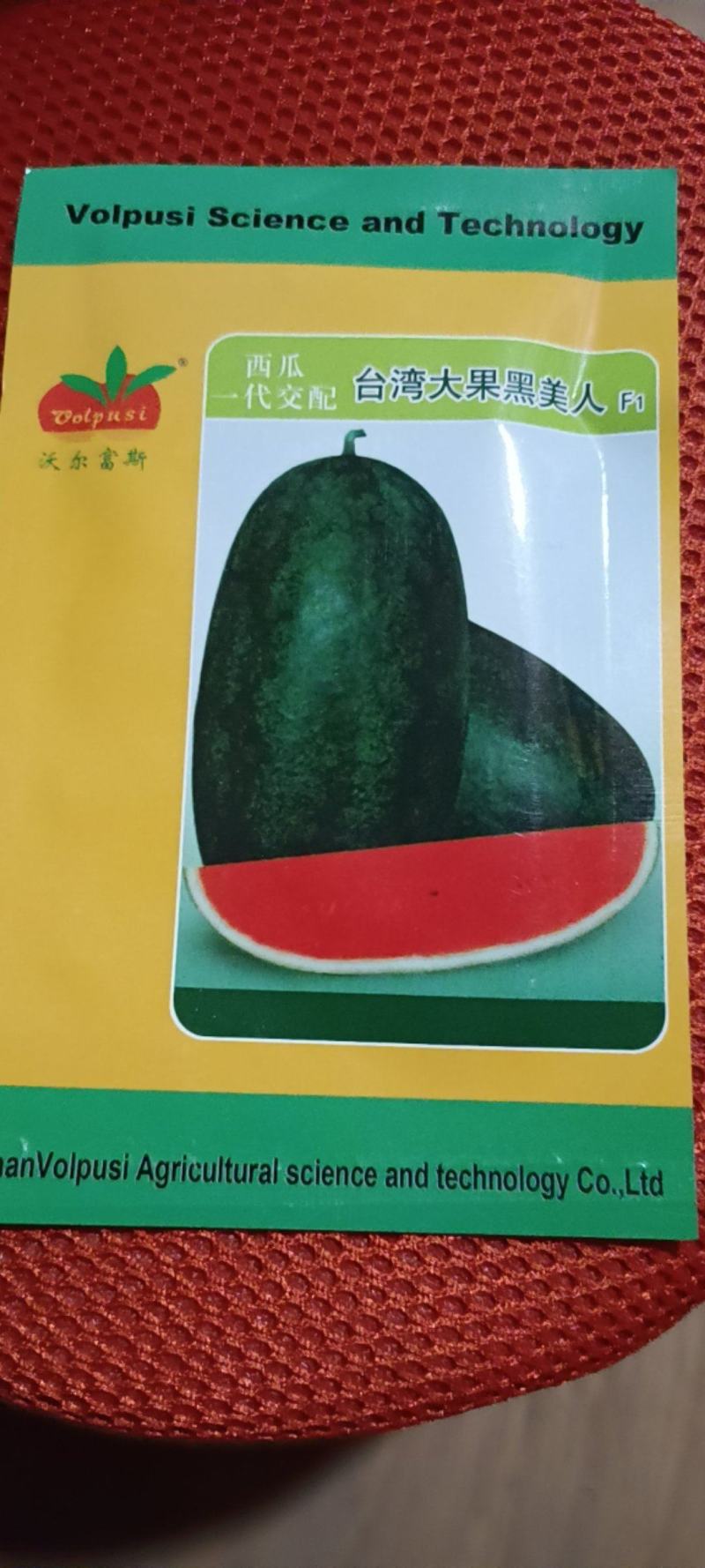 台弯大果黑美人西瓜种子F1