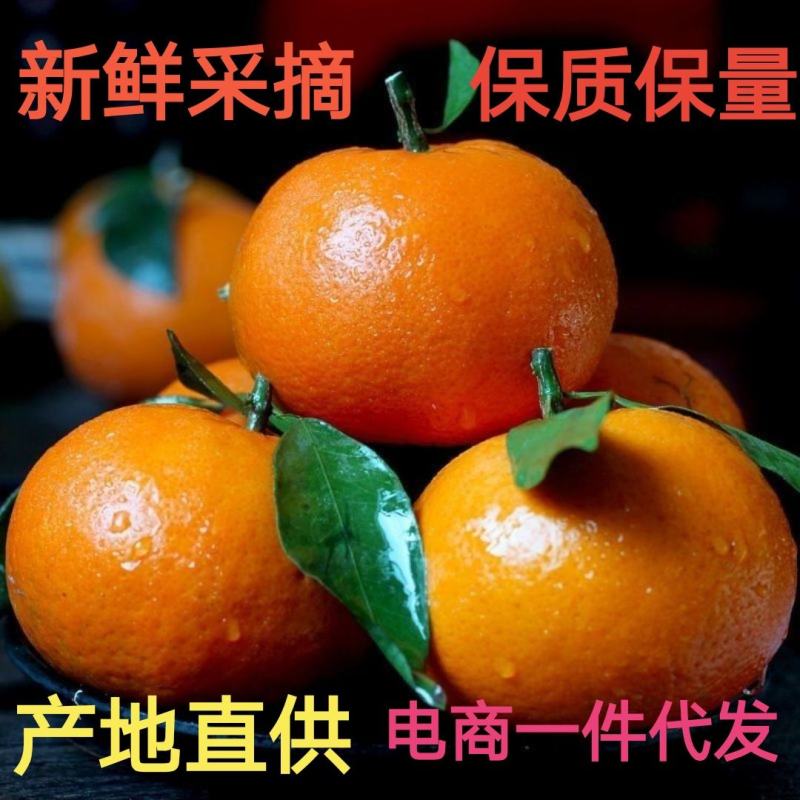 正宗广西沃柑橘子桔子应季超甜新鲜水果非皇帝柑沙糖桔丑橘