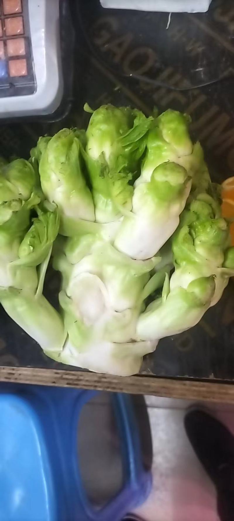 儿菜