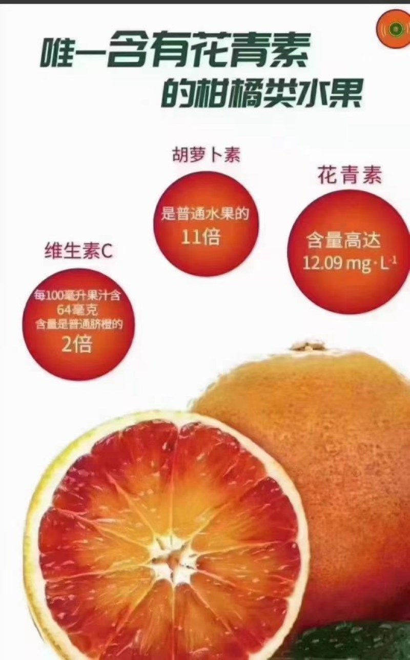 玫瑰香橙血橙默科特三月红