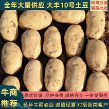 三优土豆（大丰十号西森六号V7实验1号沃土5号雪川红）
