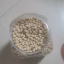 大豆