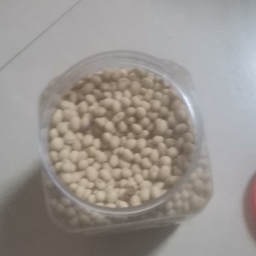 大豆