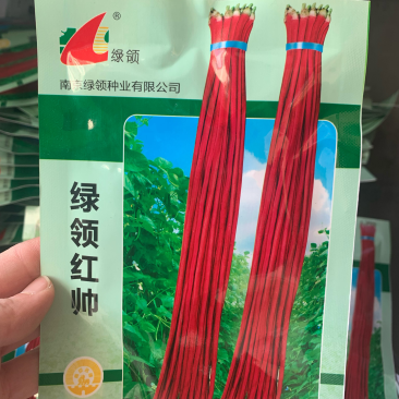 绿领红帅红豇豆种子荚长90-100cm粗1cm
