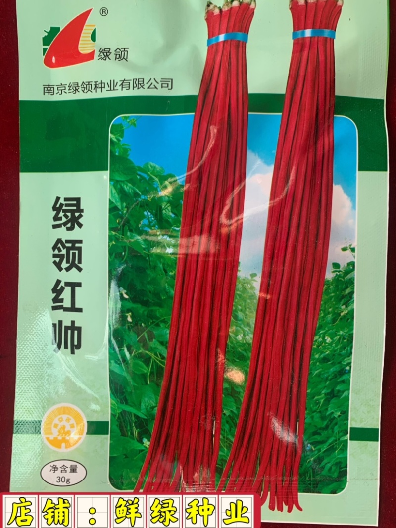 绿领红帅红豇豆种子荚长90-100cm粗1cm