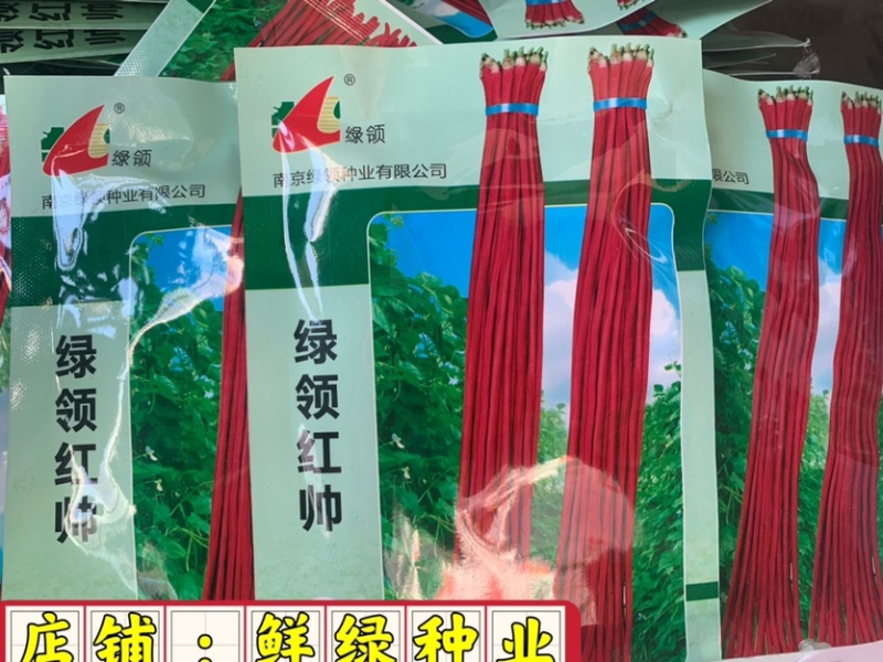 绿领红帅红豇豆种子荚长90-100cm粗1cm
