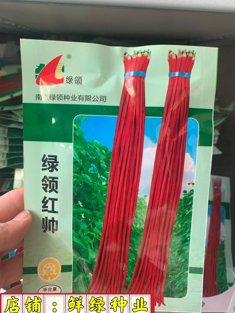 绿领红帅红豇豆种子荚长90-100cm粗1cm