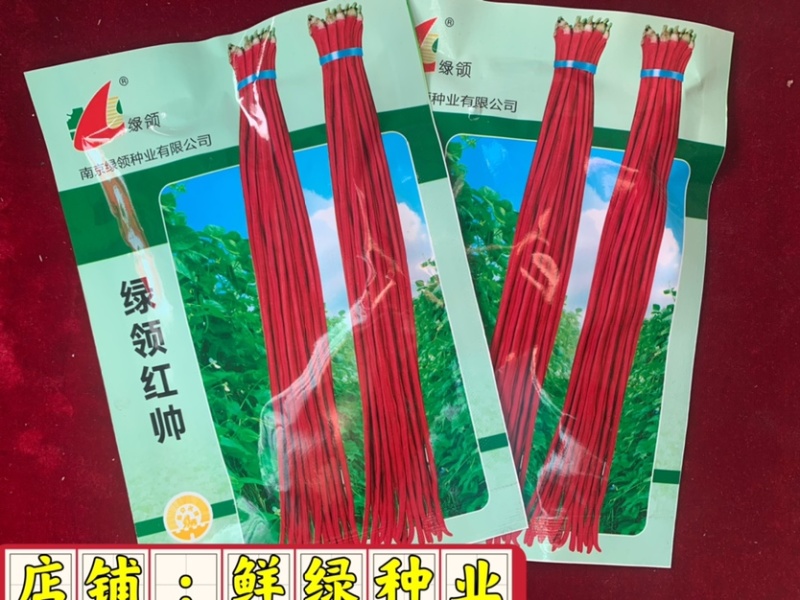 绿领红帅红豇豆种子荚长90-100cm粗1cm